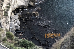 Acqua Calda Baia di Sorgeto Ischia