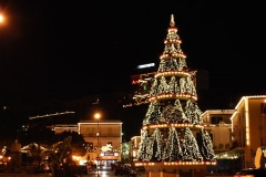 L'Albero di Natale a Ischia