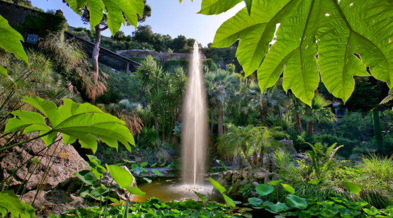 Giardini La Mortella Ischia