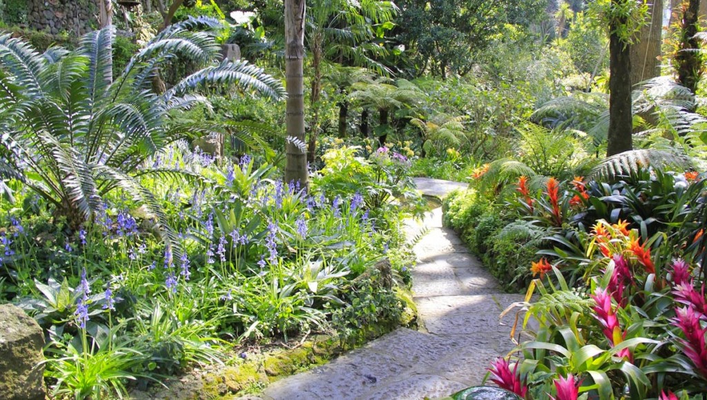 Parchi Ischia Naturali