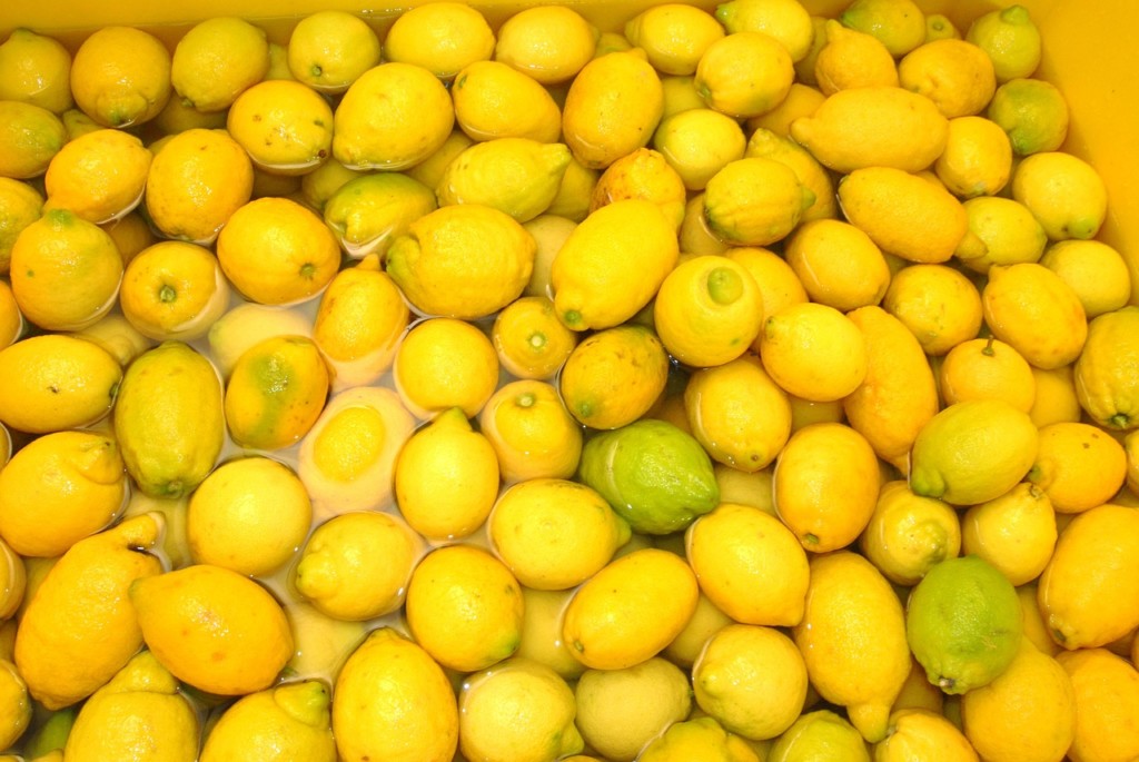 I Limoni di Sorrento