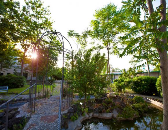 Hotel Terme Alexander - mese di Marzo - alexander-terme-40-