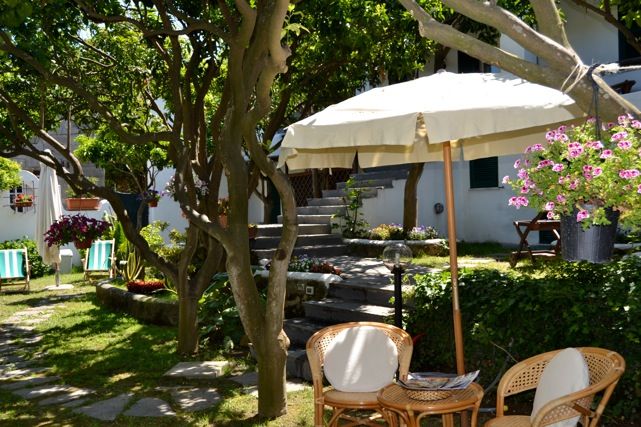 B&B Villa Adriana - mese di Gennaio - giardino.jpeg