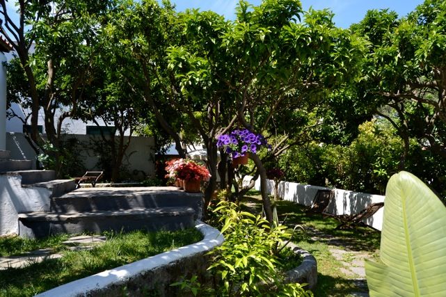 B&B Villa Adriana - mese di Gennaio - giardino2.jpeg
