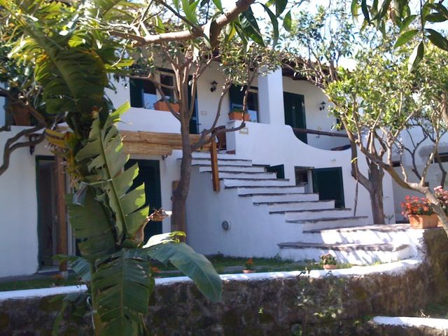 B&B Villa Adriana - mese di Marzo - giardino3.jpeg