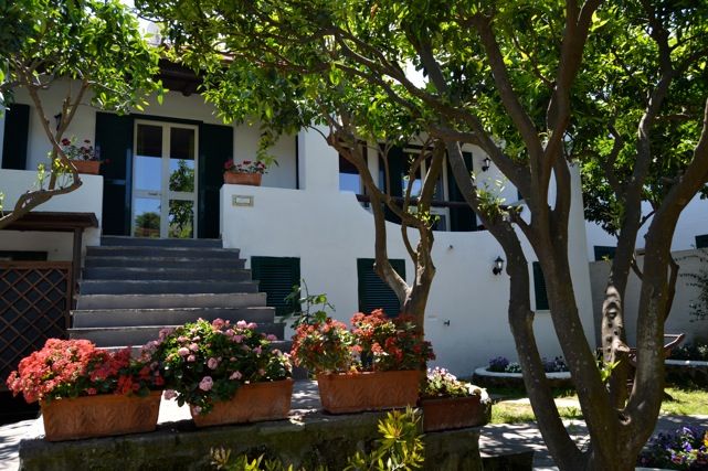 B&B Villa Adriana - mese di Luglio - giardino4.jpeg