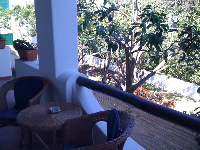 B&B Villa Adriana - mese di Gennaio - giardino6.jpeg