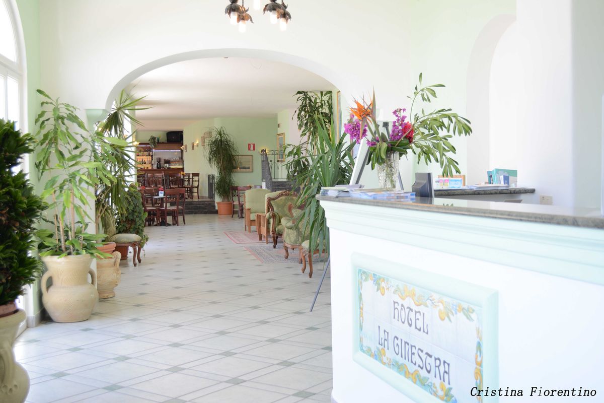 La Ginestra Ischia Forio