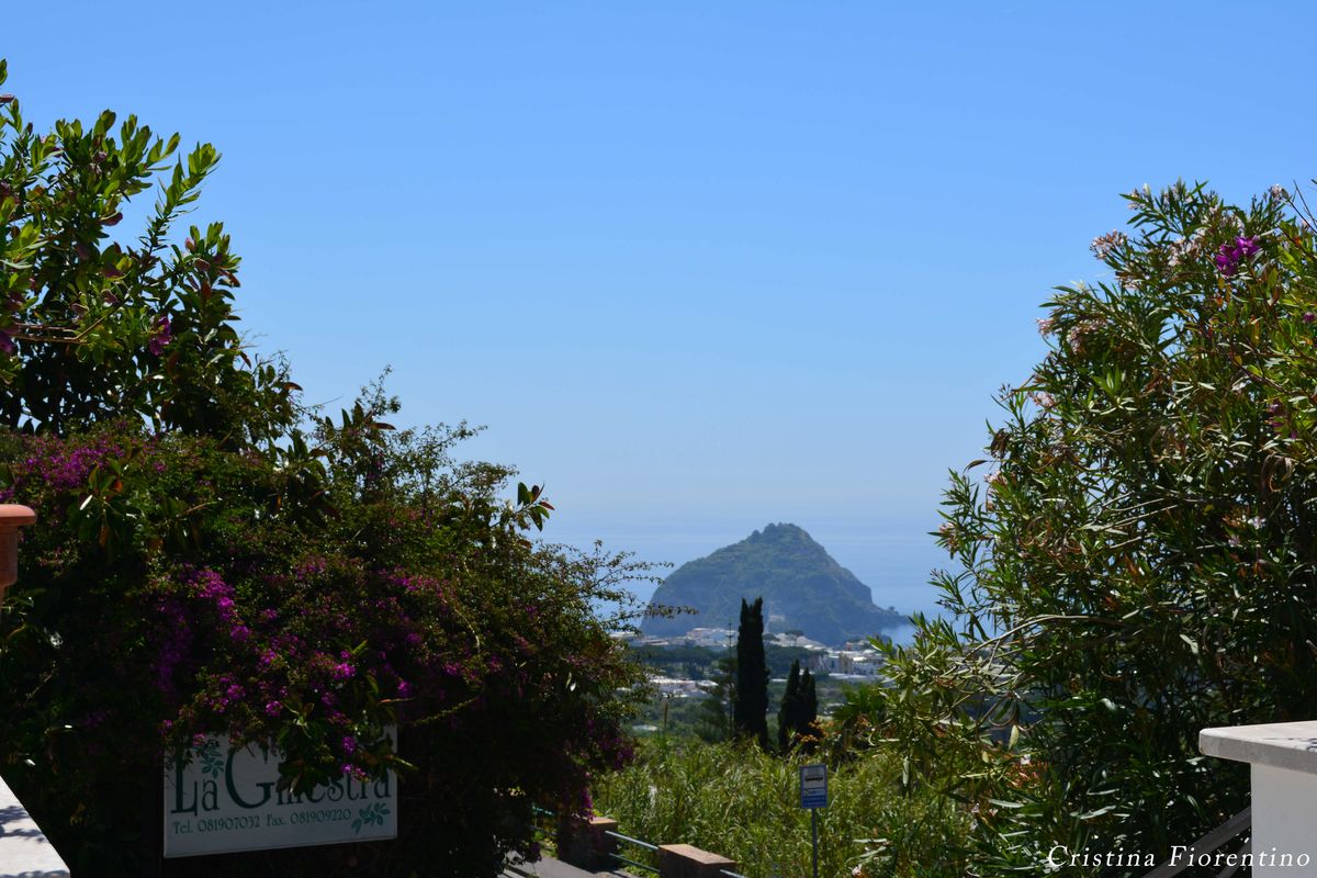 La Ginestra Ischia Forio