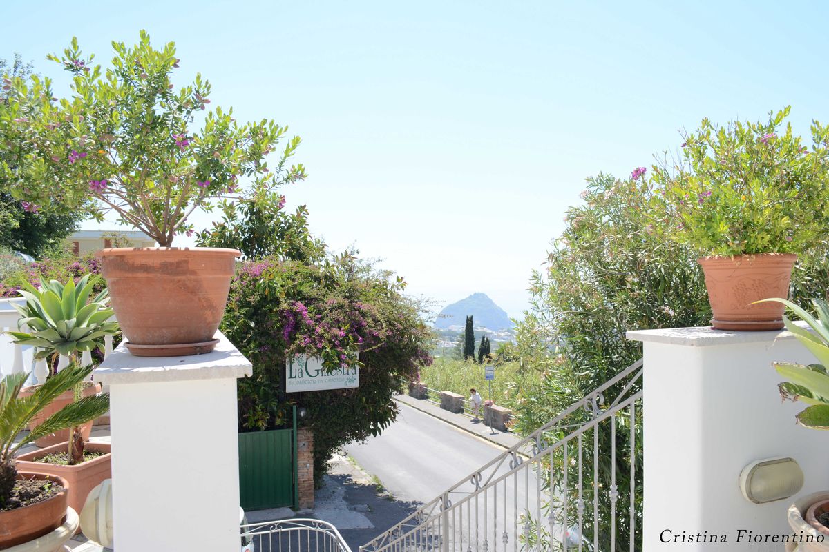 La Ginestra Ischia Forio