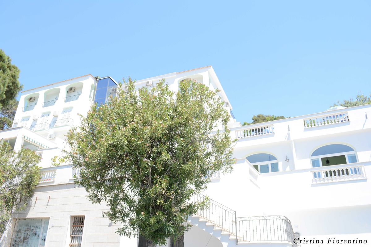 La Ginestra Ischia Forio