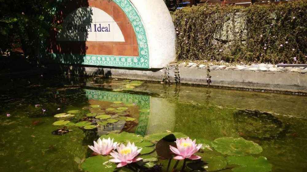 Hotel Ideal - mese di Marzo - Vista Esterna Intera Struttura offerte-isola d'Ischia
