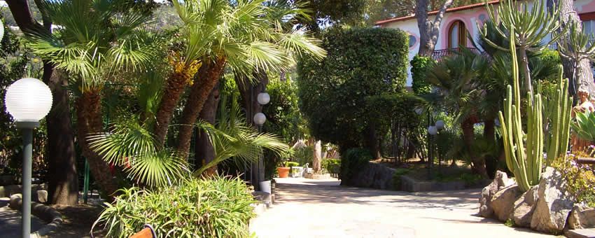 Hotel Terme la Bagattella (Nuova Gestione) - mese di Aprile - Entrata Hotel Terme la Bagattella-Forio d'Ischia