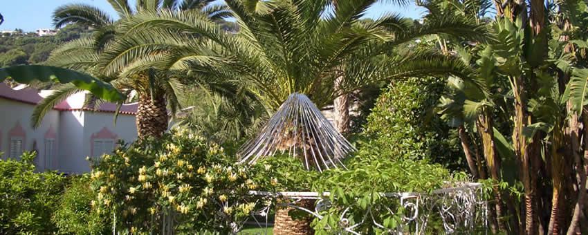 Hotel Terme la Bagattella (Nuova Gestione) - mese di Aprile - Entrata Hotel Terme la Bagattella-Forio d'Ischia