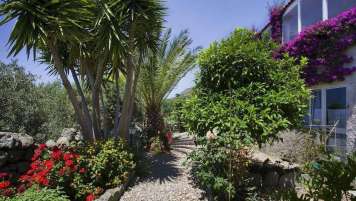 Agriturismo la Pergola - mese di Aprile - offerte-Forio d'Ischia