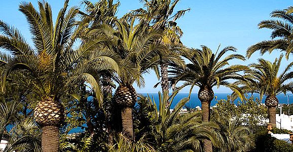 Hotel Parco Maria - mese di Aprile - offerte- Forio d'Ischia