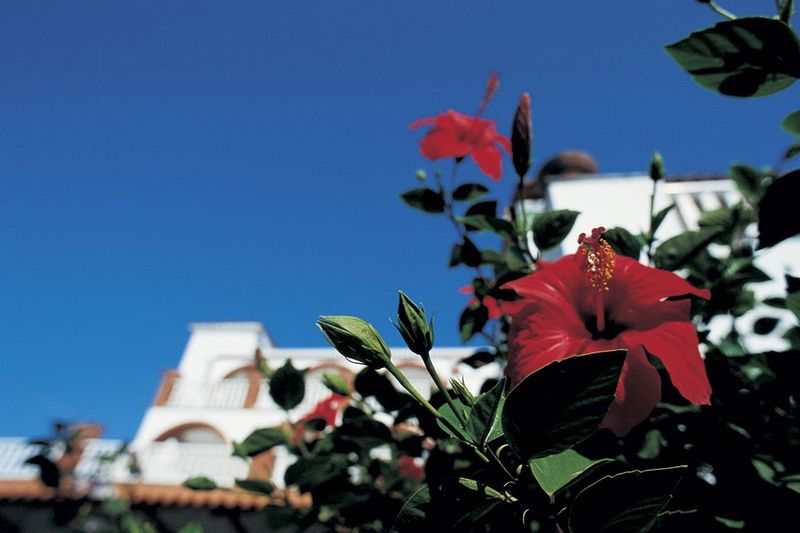 Hotel La Scogliera - mese di Ottobre - offerte-Forio d'Ischia